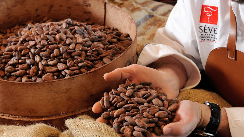 Payer ses chocolats en bitcoin&nbsp;? Sève possible&nbsp;!