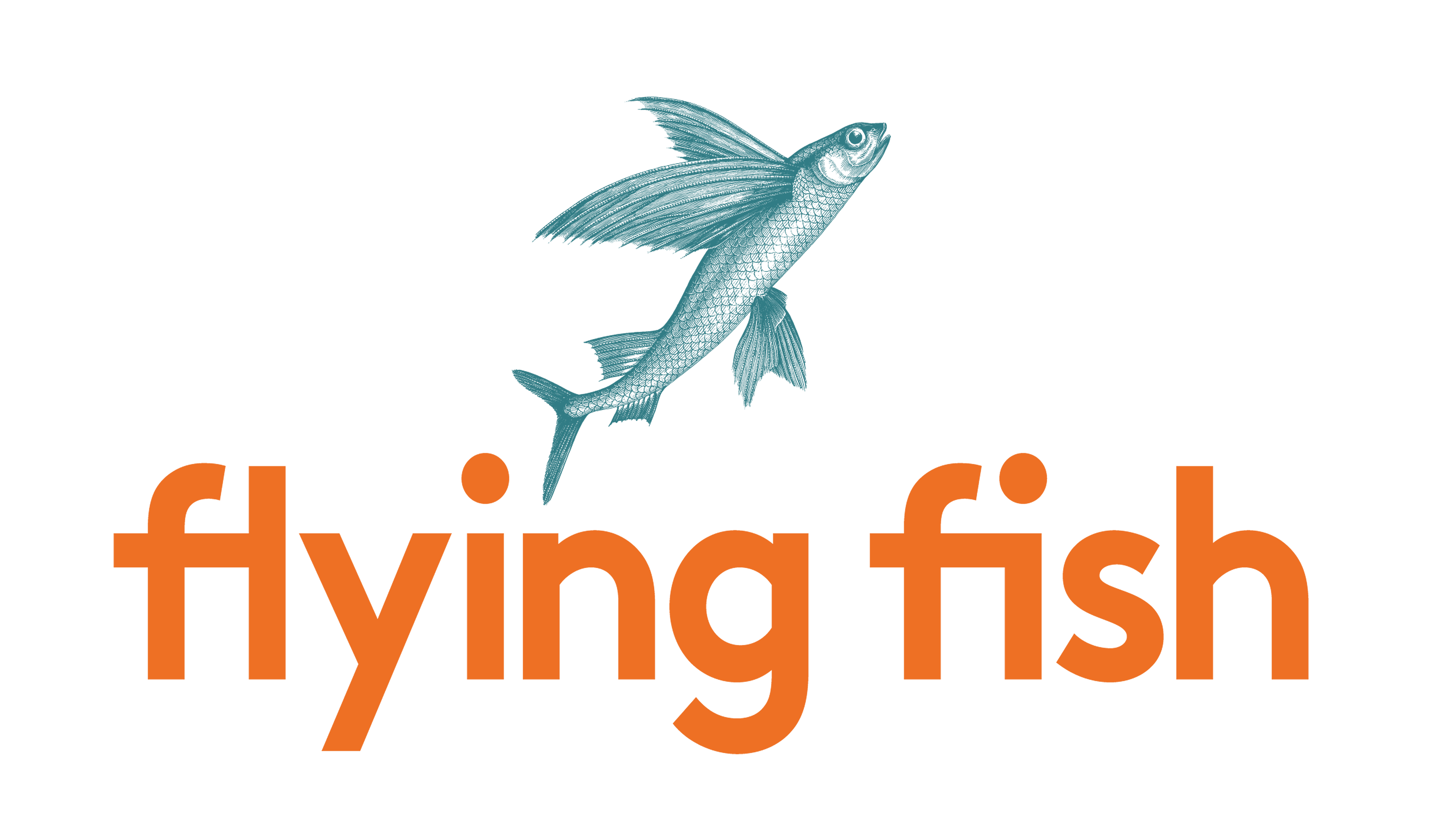 icon-flying-fish