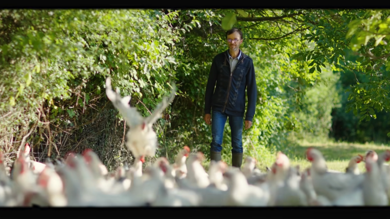 L'agence Qui Plus Est met le poulet du Bourbonnais à l'affiche