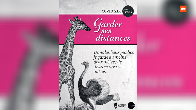 Pas bête la campagne imaginée par l’Université de Lyon et le Crous de Lyon !