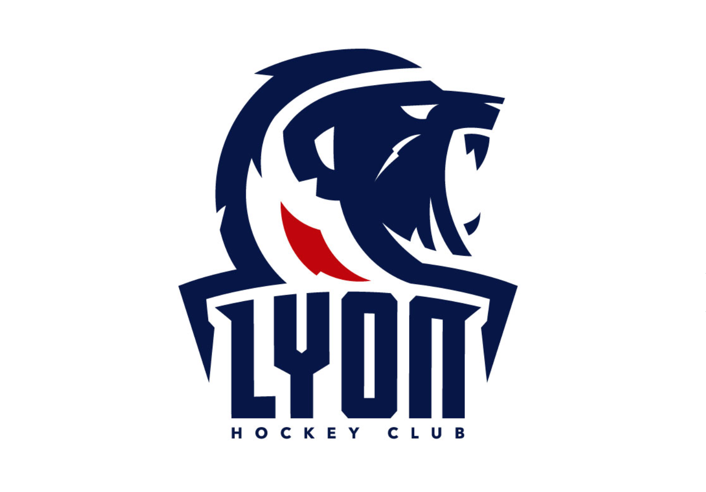 Lyon hockey club revient sur la glace