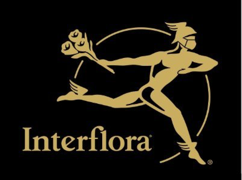 Interflora choisit Insign pour la refonte de son écosystème e-commerce