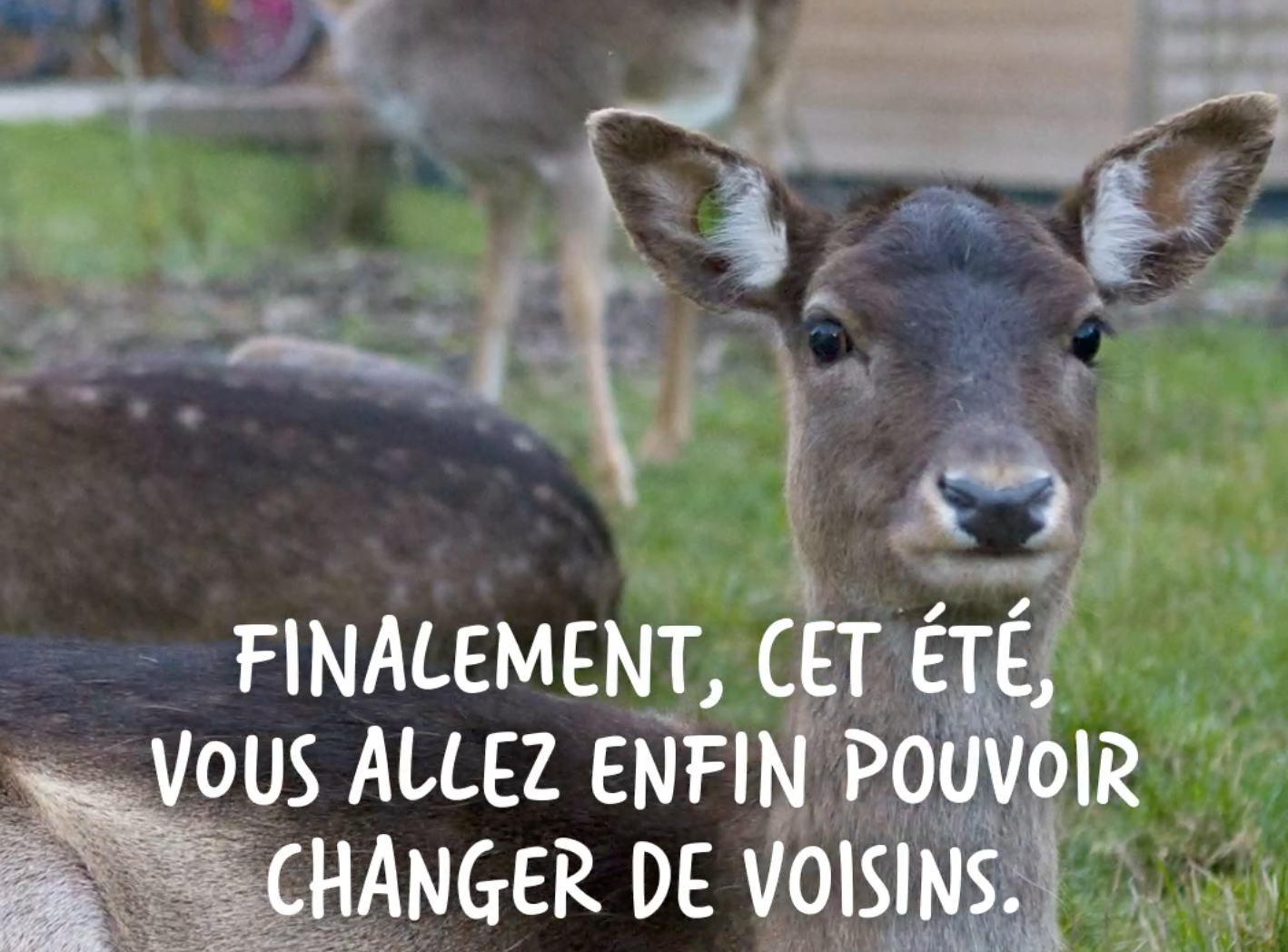 Mouton Noir (r)assure pour Center Parcs