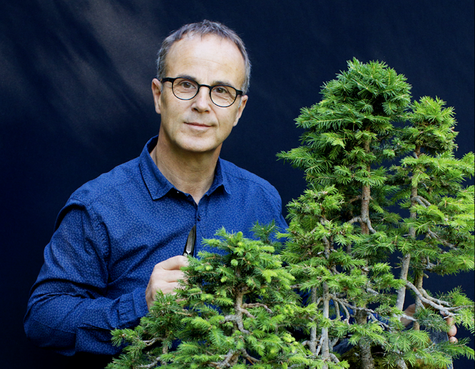 François Pinochet : « Dans l’art du bonsaï comme en entreprise, il faut avoir le sens du rythme »