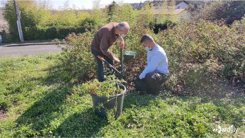 Les agents municipaux de Dardilly font des tutos jardinage