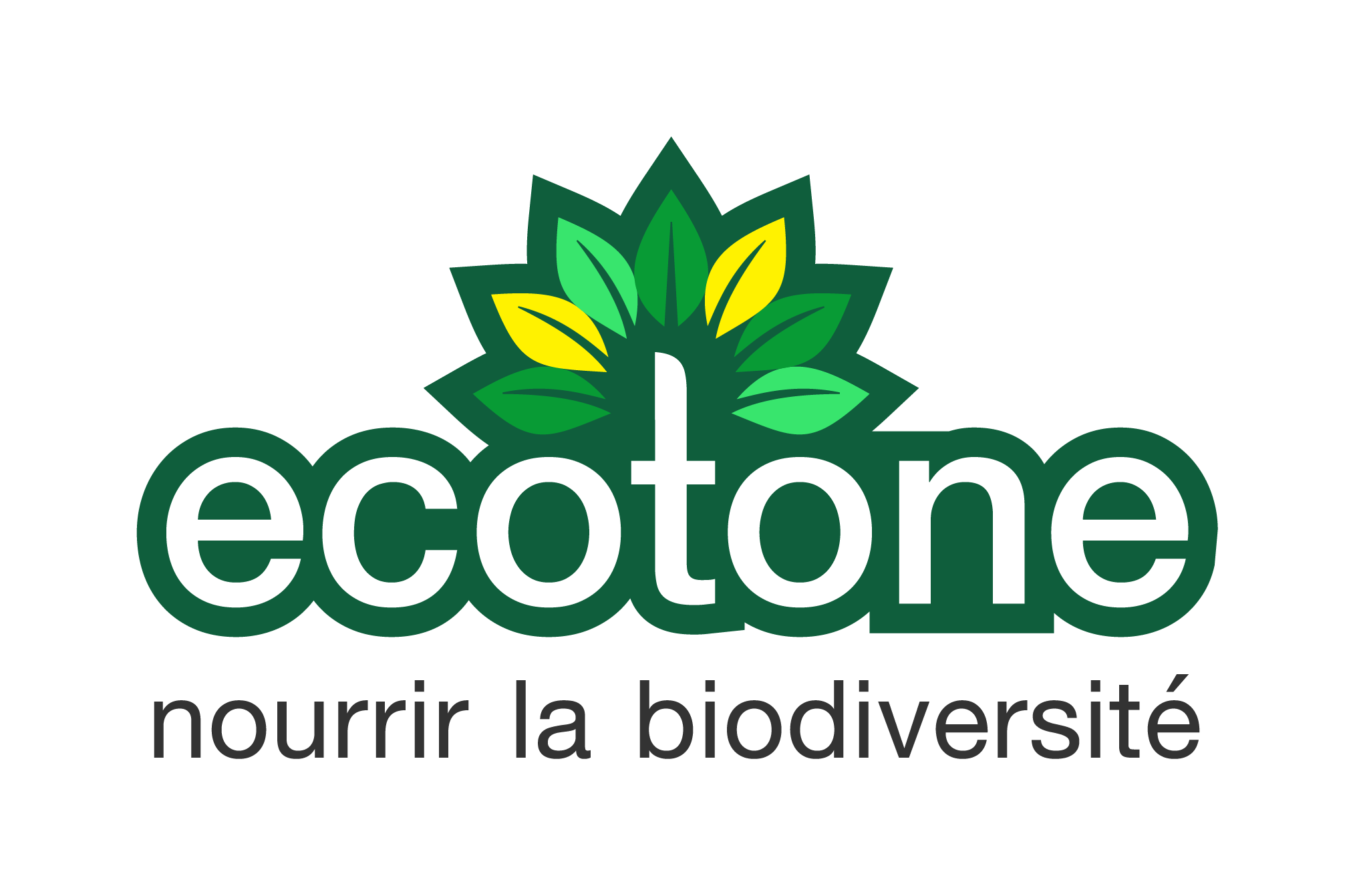 Émilie Lowenbach (Écotone) : « Notre nouveau nom reflète notre nouvelle stratégie »