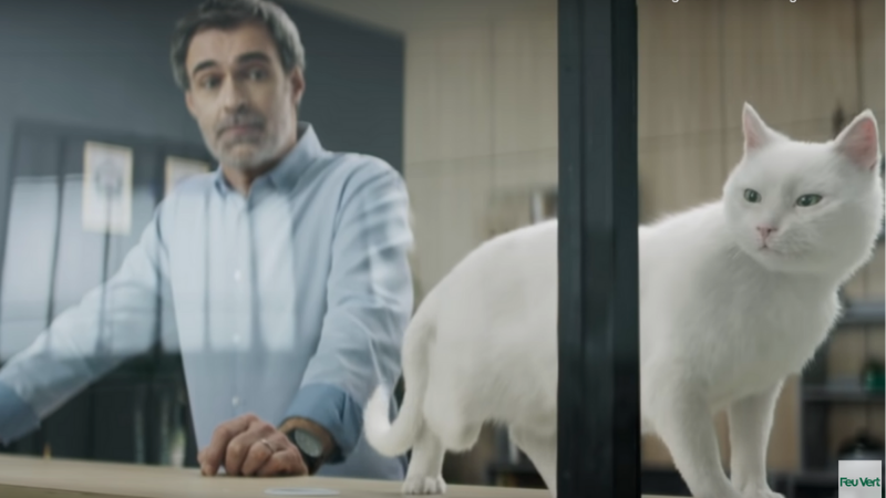 Feu Vert : la hyène ne remplacera pas Ramsès