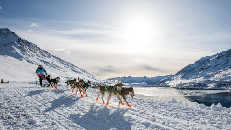 « La Grande Odyssée Savoie Mont Blanc va toucher 30 millions de personnes »