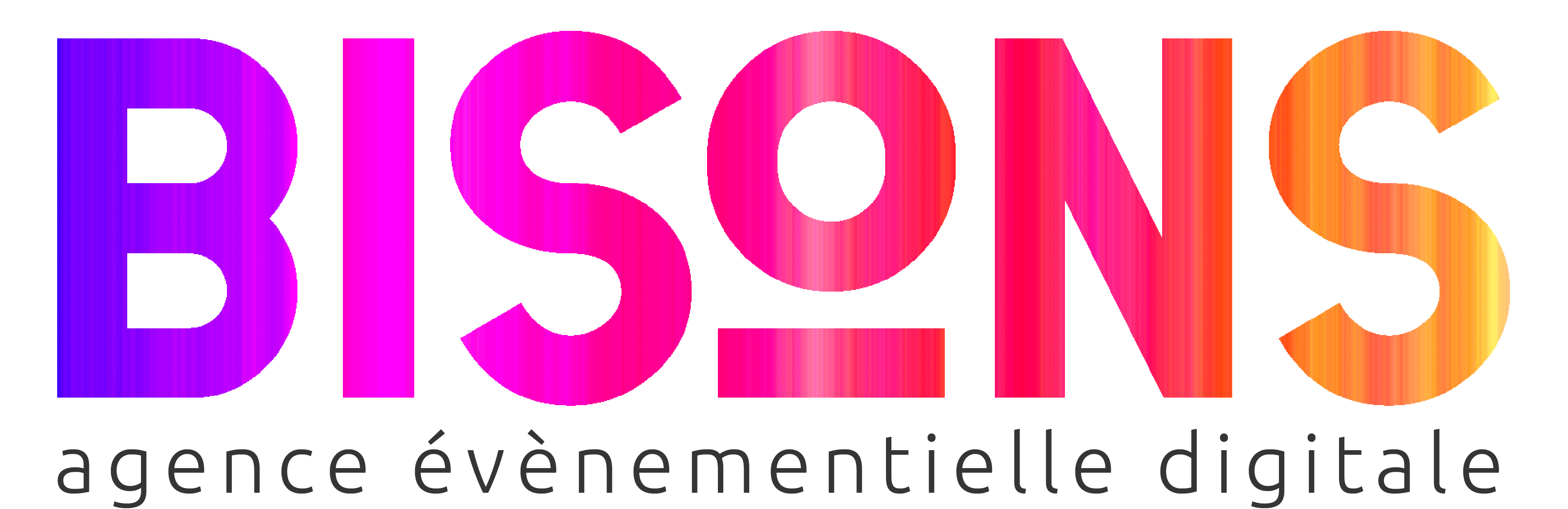 icon-bisons-agence-evenementielle-digitale-lyon