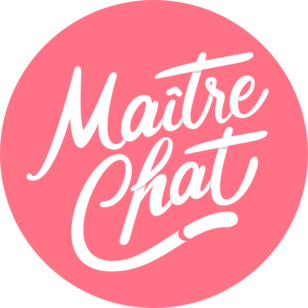 icon-maitre-chat-studio-production-audiovisuel-film-motion-design