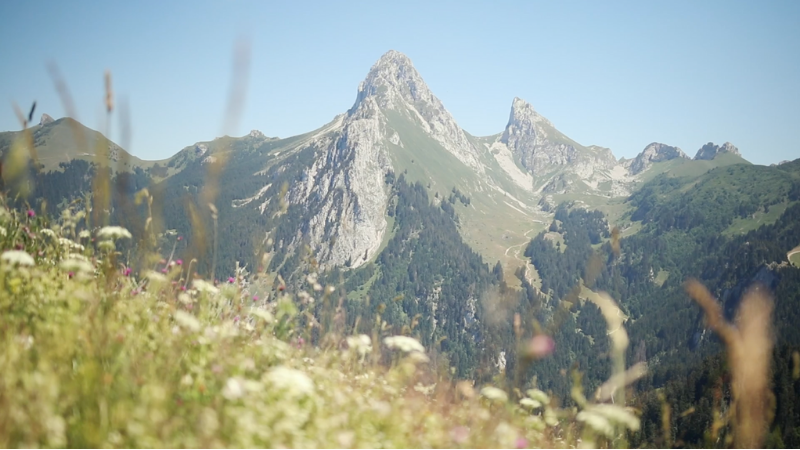 Montagne : G2A Consulting prévoit une hausse de la fréquentation cet hiver