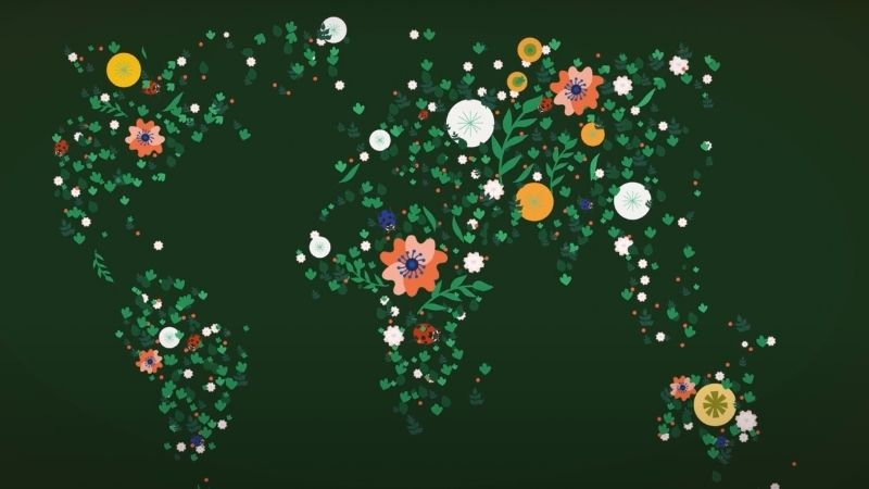 Préserver la nature en faisant de la compta ? Un motion design explique pourquoi