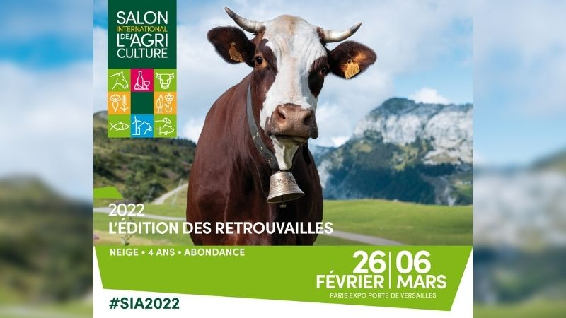 Le Salon de l’agriculture choisit une vache haut-savoyarde pour être son égérie