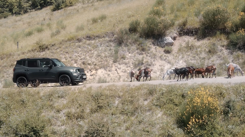 Oozbo orchestre la campagne internationale de Point S Tyres