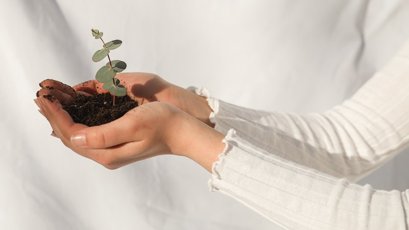 Publicité responsable : le groupe SEB et Jean Lain signent leur contrat climat