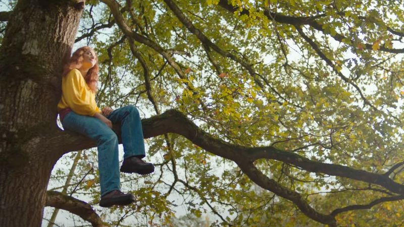 SantéVet ancre les animaux au cœur de la famille