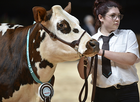 Foires : feu rouge en Auvergne, feu vert en Savoie