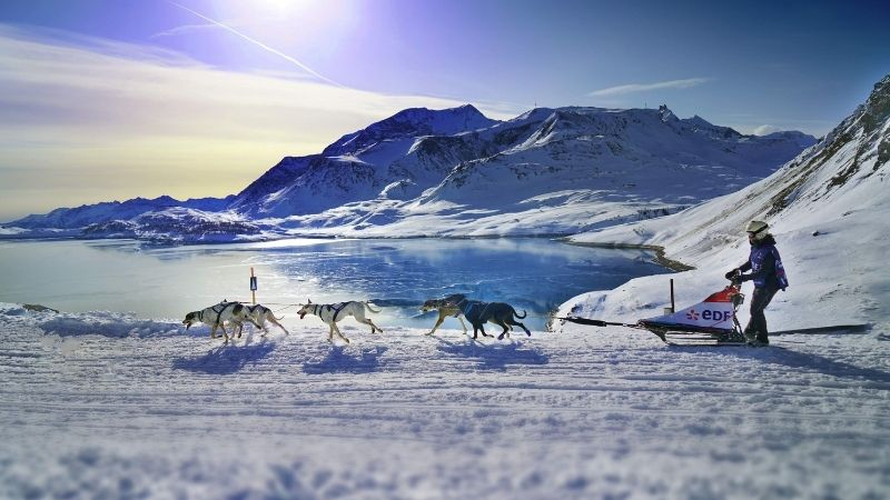 Le débrief : Là où tout (re)commence pour VVF